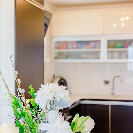 Splendid View Apartment *